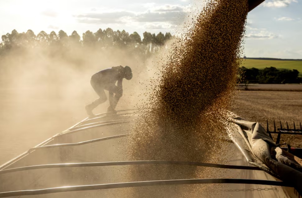 El Gobierno anunció una nueva baja en las retenciones para el campo