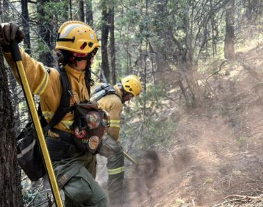 Incendio en el Parque Nacional: bomberos voluntarios de Chile se suman a los más de 500 brigadistas provinciales y nacionales