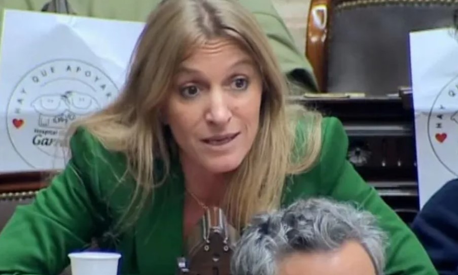 Una diputada K dijo que Milman estuvo