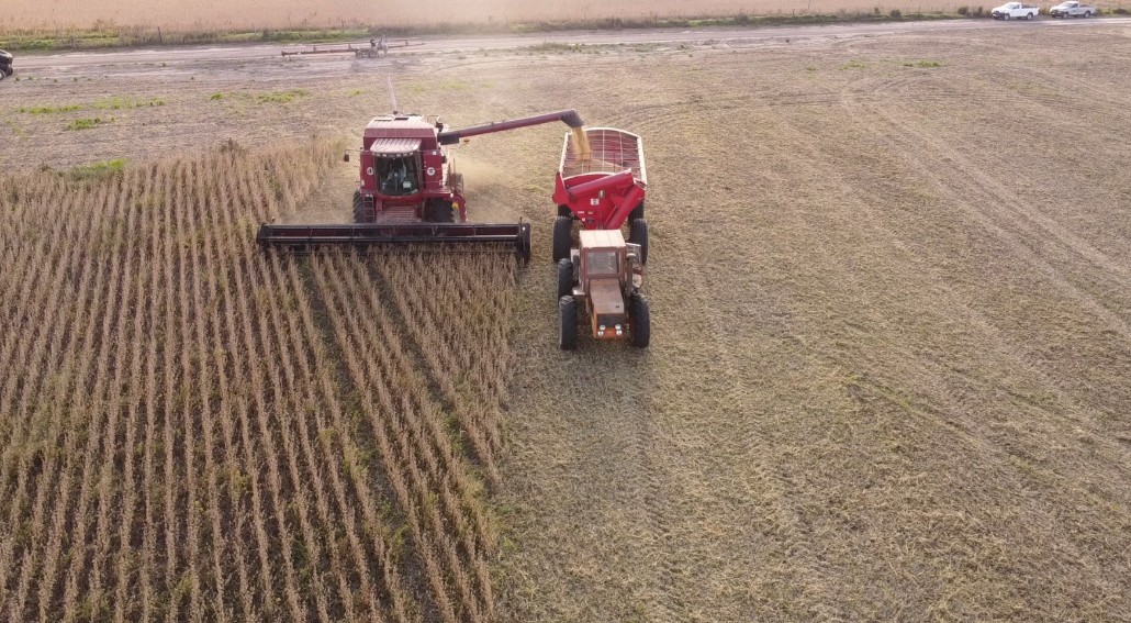 Estadísticas revelan que la provincia de Entre Ríos logró el mejor rendimiento agrícola de los últimos 25 años