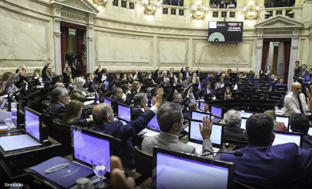 El Senado rechazó el proyecto de Ficha Limpia