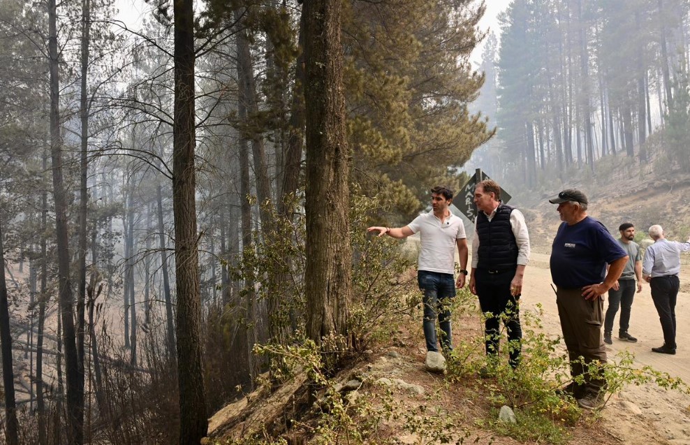 Incendios forestales en la Cordillera: Junto a Santilli, Torres aseguró que “la prioridad absoluta es la seguridad de los vecinos”